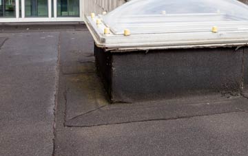 disadvantages of Inshes flat roofs