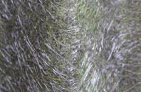 Inshes fibreglass roof work